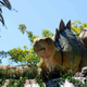 The baby stegosaurus is adorable.